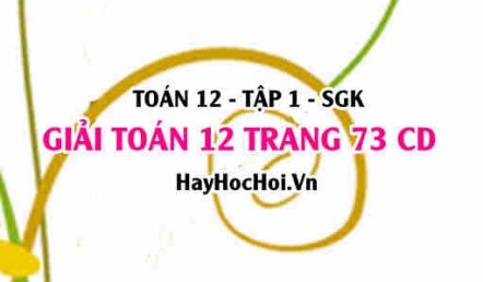 Giải Toán 12 trang 73 tập 1 Cánh Diều